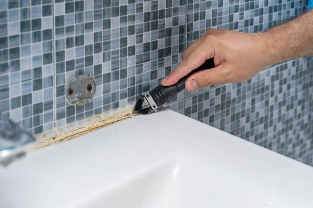 Best Commercial Mold Remediation in Santa Teresa, NM