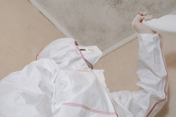 Best Mold Remediation for Specific Building Types in Santa Teresa, NM